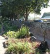 mariannhill-monastery-cemetary-boer-war-british-soldiers-graves-overall-view-2