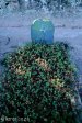 mariannhill-monastery-cemetary-boer-war-british-soldiers-graves-pte-g-bennie-roayal-dragoons