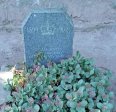 mariannhill-monastery-cemetary-boer-war-british-soldiers-graves-pte-j-jackson