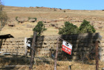 Ongeluksnek Valley Farm Esbi Khaya Farm S 30.18.16 E 28.22.55 (1)