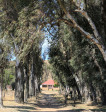 Ongeluksnek Valley Farm Esbi Khaya Farm S 30.18.16 E 28.22.55 (5)