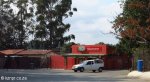Mbaswana - Tops