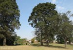 melmoth-area-kwanzimela-mission-church-off-d779-s-28-38-07-e31-19-7