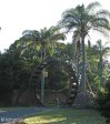 melmoth-house-reinhold-entrance