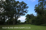 Tweedie Hall outlook over Midmar (6).
