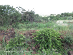 Ladysmith - Cave Redoubt - Riflemans Post - Cove Crescent - 28.32.51 S 29.45.49 E -  (2)