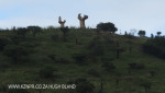 Ladysmith - Fly Kraal Burgher Monument views