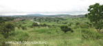 Ladysmith - Kings Regiment - 28.32.31 S 29.47.43 E  (6)
