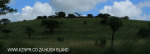 Ladysmith - Riflemans Post from road - 28.33.18 S - 29.44.52 E -  (2)