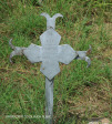 Ladysmith -Van Riebeck Street - Grave T W Corfield Curator  1910  - 28.33.47 S 29.45.36 E -  (13)