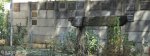 dundee-moth-hall-hardy-gates-isanhlwana-shellhole-s28-09-641-e30-14-154-elev-1259m-10
