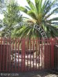 dundee-moth-hall-hardy-gates-isanhlwana-shellhole-s28-09-641-e30-14-154-elev-1259m-14
