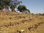 eshowe-british-military-cemetary-off-dinizulu-cemetary-views-s28-53-693-e31-29-779-elev-500m-26