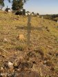 eshowe-british-military-cemetary-off-dinizulu-lt-asf-davison-99th-regt-s28-53-693-e31-29-779-elev-500m-37