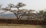 estcourt-fort-durnford-outer-walls-s29-00-964-e-29-53-301-elev-1170m-69