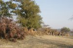 estcourt-fort-durnford-outlook-s29-00-964-e-29-53-301-elev-1170m-55