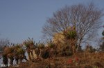 estcourt-fort-durnford-s29-00-964-e-29-53-301-elev-1170m-1
