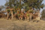 estcourt-fort-durnford-s29-00-964-e-29-53-301-elev-1170m-20