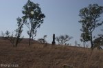 estcourt-saaileger-battle-site-1838-s29-00-513-e-29-53-255-elev-1131m-24