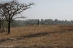 estcourt-saaileger-battle-site-1838-s29-00-513-e-29-53-255-elev-1131m-34