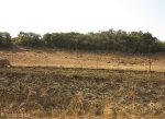 estcourt-willow-grange-gravesites-p173-battle-site-s-29-05-923-e-29-55-327-elev-1522m-6