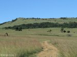 vryheid-hill-nature-reserve-lt-col-gawne-site-kings-own-regt-royal-lancaster-regt-s-27-45-53-e-30-57-11-dec-1900-5