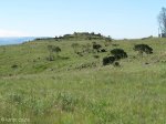 vryheid-hill-nature-reserve-north-gun-site-signal-hill-s-27-44-32-e-30-47-33-elev-1464m-2