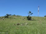 vryheid-hill-nature-reserve-north-gun-site-signal-hill-s-27-44-32-e-30-47-33-elev-1464m-5