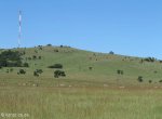 vryheid-hill-nature-reserve-s-27-45-14-e-30-47-32