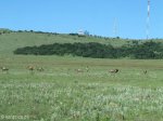 vryheid-hill-nature-reserve-s-27-45-14-e-30-47-33