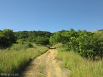 vryheid-hill-nature-reserve-s-27-45-14-e-30-47-4