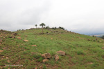 vryheid-hill-north-gun-point-2