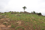 vryheid-hill-north-gun-point-3