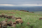 vryheid-hill-north-gun-point-4
