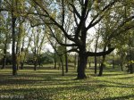 newcastle-cemetary-general-views-1