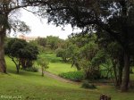 Umbilo - Congella Park - Umbilo Road - S 29.52.675 E 30.59 (2)