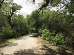 False Bay - Entrance road (1)