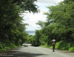 False Bay - Entrance road (2)