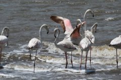 Mkuze Game Reserve & St Lucia False Bay