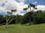 False Bay  - Lakeshore & picnic sites (11)