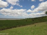 False Bay  - Lakeshore & picnic sites (12)