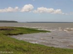 False Bay  - Lakeshore & picnic sites (18)
