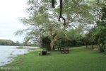 Mkuze fever trees at pan - picnic spot