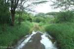Mkuze wet road
