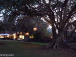 Mkuze - Ghost Mountain Inn - Gardens (2)