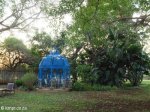 Mkuze - Ghost Mountain Inn - Gardens & Pool (5)