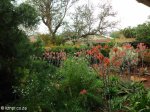 Mkuze - Ghost Mountain Inn - Gardens