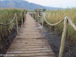 Mkuze - Ghost Mountain Inn - Lake - Boardwalk (3)