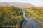 Mkuze River & road Bridge (6)