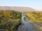 Mkuze River & road Bridge (7)